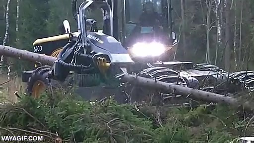 riesgo de deforestación? a este ritmo? qué va...,maquina,talar,cortar,arboles,deforestacion