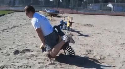 fail,columpios,de boca,caer,adios infancia,la vida te lo dice claro