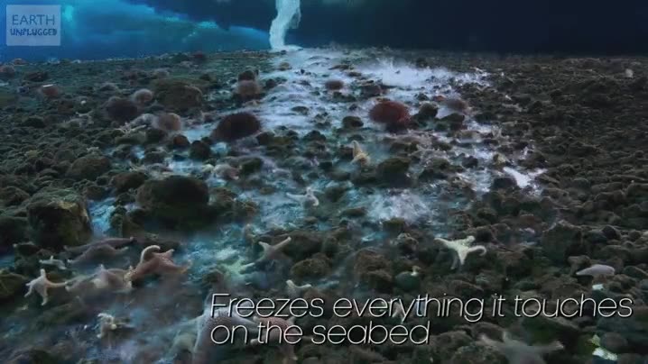 brinicle,tornado de hielo,congela todo lo que toda