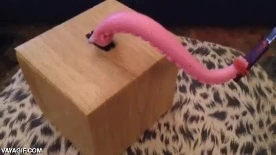 Hoy, en inventos absurdos sin sentido, el tentácul descontrolado con un cuchillo buena idea,cuchillo,punta,a ver quien lo desconecta ahora,apagar,máquina