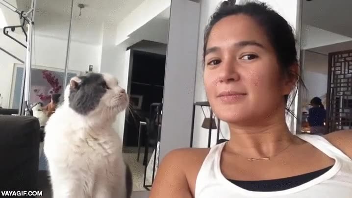 gato,tocar,cara,chica,humana,carita,no es un sueño