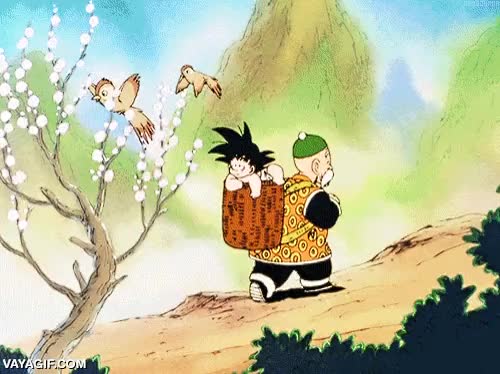 Dragon ball,como empezo todo,abuelito,gohan,goku,sentimientos,golpe en la cabeza