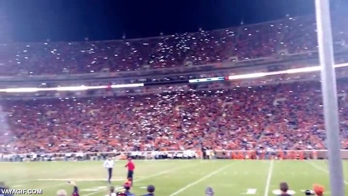 cell wave,telefonos,pantallas,ola,estadio,campo,deportivo