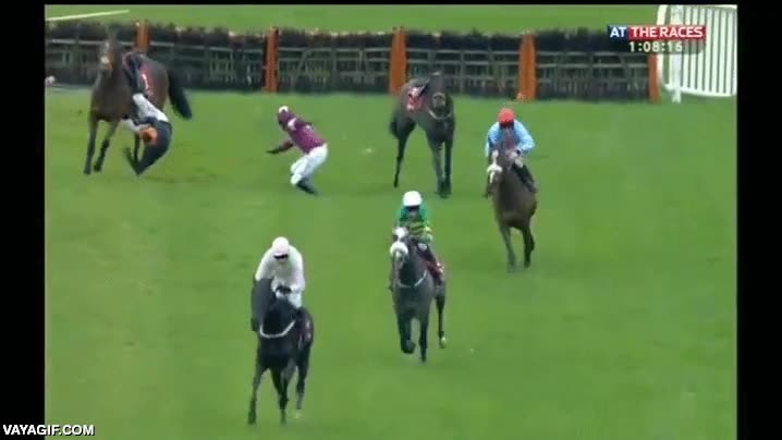 por suerte no fue a m&aacute;s,accidente,fail,caida,carrera,caballo,compa&ntilde;erismo,deportividad
