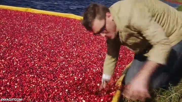 agua,fail,reportero,ha perdido las gafas de hipster,a proposito,no me f&iacute;o