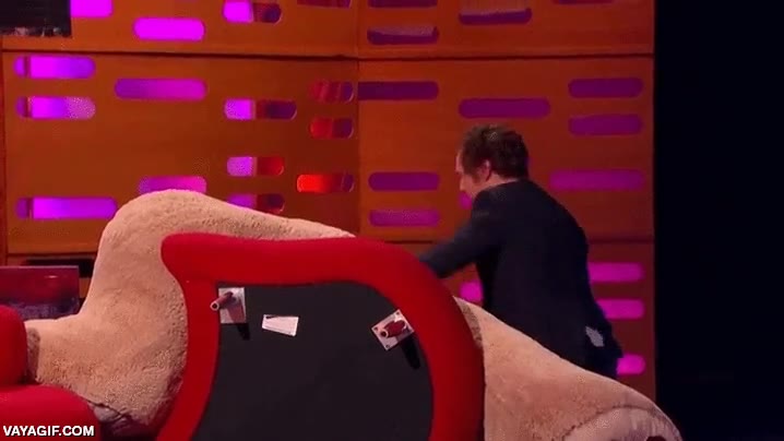 por qu&eacute; tanto odio?,Benedict Cumberbatch,oso de peluche