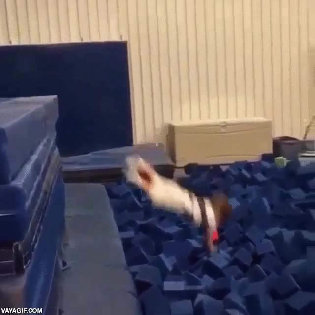 temerario,lanzarse,saltar,bastante altura para un ni&ntilde;o tan peque,foso de espuma