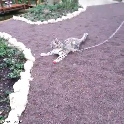 Enlace a Un momento, ¿a dónde ha ido?