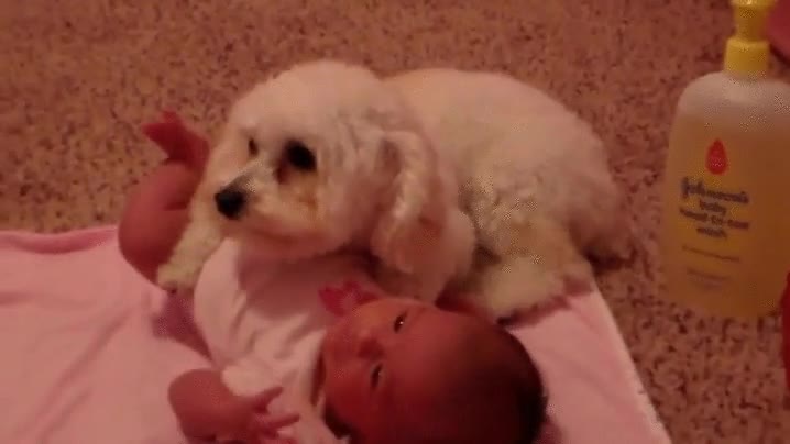 proteger,ponerse encima,ayudar,miedo,bebe,niño,secador de pelo