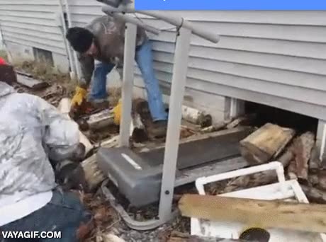 buena idea,troncos,cinta de correr,madera,guardar,esto es ahorrarse muchos viajes