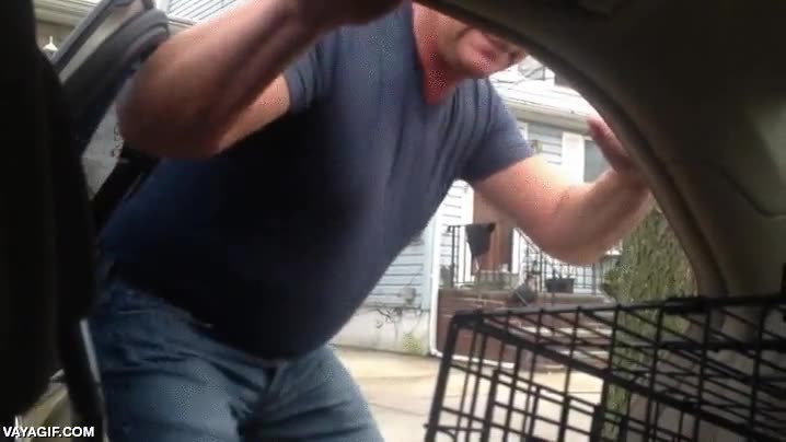 cachorro,sorpresa,regalo,un nuevo amigo,padre,se emociona,emocion,perro