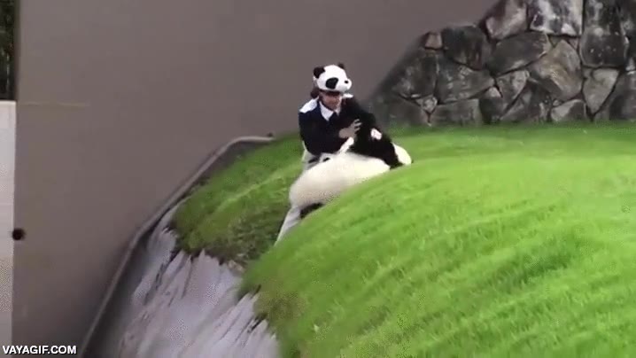 cuidadora,zoologico,japones,oso panda,torpeza a tope