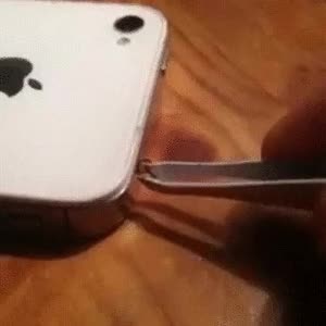 bicho,insecto,tijereta,agujero,iPhone,m&oacute;vil,pinzas