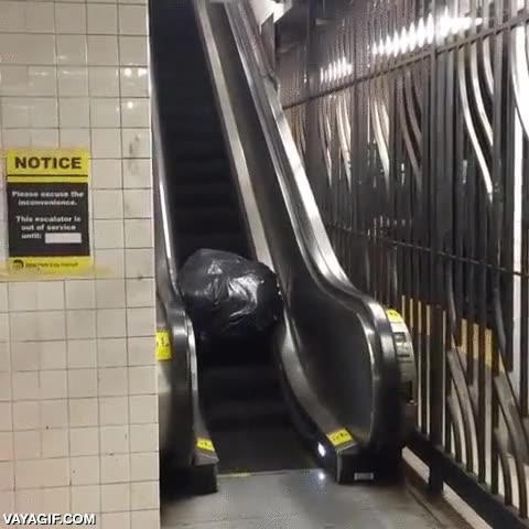 indiana jones,bolsas de basura,escalera mecanica,aparece la bola y toca huir