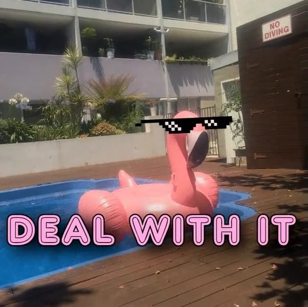 deal with it,cisne,hinchable,balcon,piscina,doble mortal hacia atr&aacute;s,lo clava