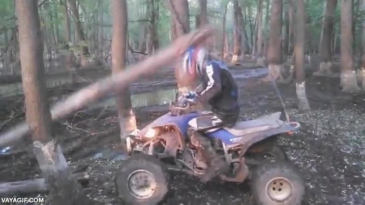 naturaleza,arbol,quad,tirar,romper,en toda la cabeza,m&aacute;s fuerte tendr&iacute;a que haberle dado