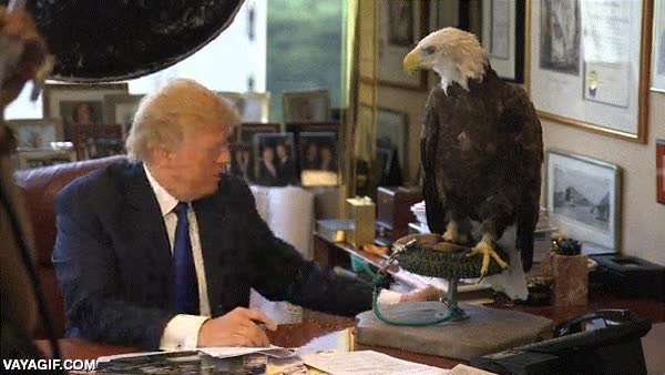 Enlace a Si el águila es el símbolo de Estados Unidos, no parece que Donald Trump sea muy bien recibido