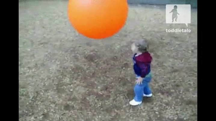 El humano es el único animal que tropieza dos (y tres) veces con la misma piedra piedra,boya,fail,tres veces,niños,niño,empujar