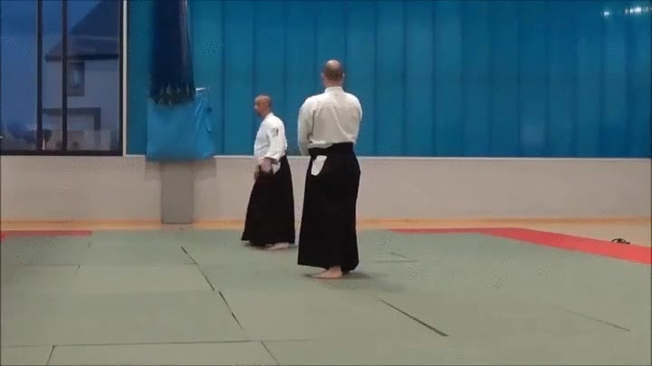 Este sensei de Aikido nos enseña la mejor manera de defendernos ante un oponente con espada profesor,correr,huir,espada,aikido,maestro,artes marciales