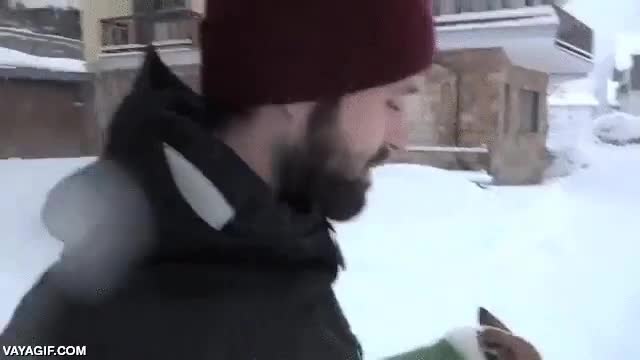 perro,chihuahua,peque&ntilde;o,atrapado,encajado,nieve,panchino