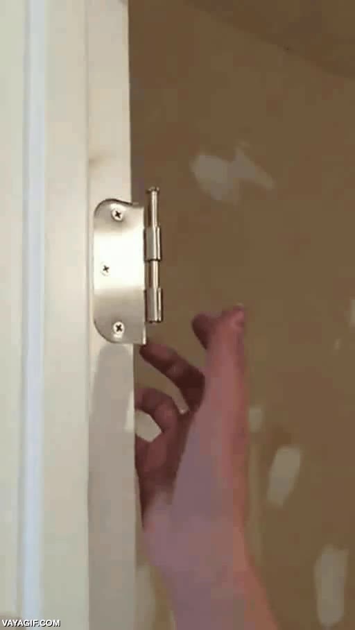 buen lanzamiento,clavo,bisagra,puerta,saltar,volver a entrar