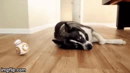 Enlace a No todo el mundo está emocionado con el estreno de la nueva de Star Wars