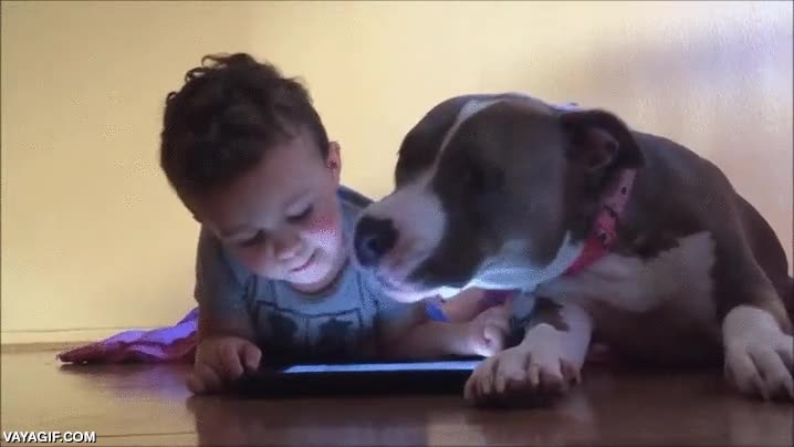 perro,no dejar,tablet,el sabe que no es bueno para el,muchos besos,ni&ntilde;o