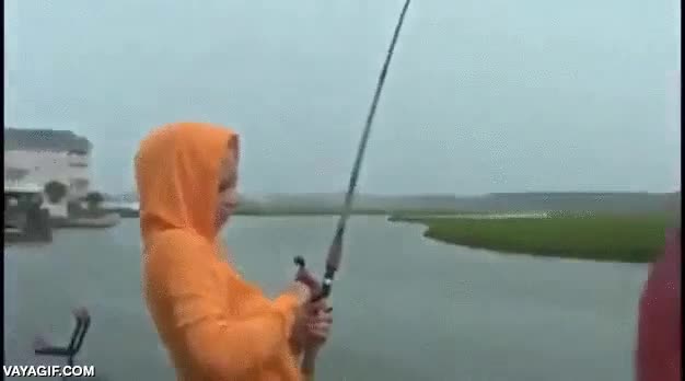 Enlace a ¡Gracias por facilitarme la pesca, humano!
