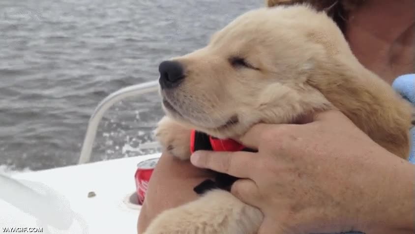 Enlace a Gozando al máximo de la brisa marina