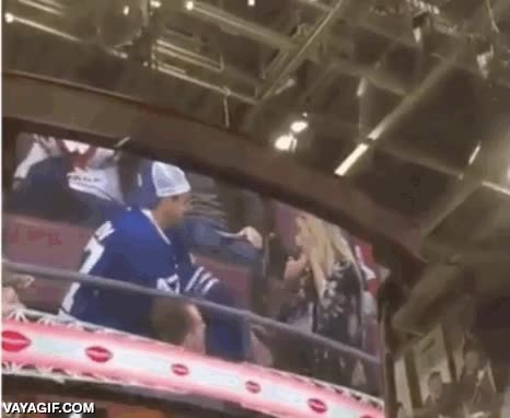 troll,proposicion,pedida de mano,broma,trollear,trolleada,kiss cam