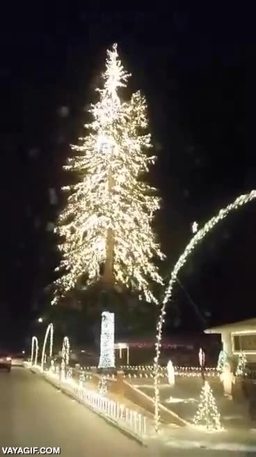 decoracion,navide&ntilde;a,luces,lucecitas,arbol,arbolito,iluminarse,menudo currazo