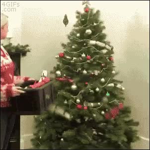 decorar,animaci&oacute;n,truco,lo clava,arbolito,luces,navidad,navide&ntilde;o