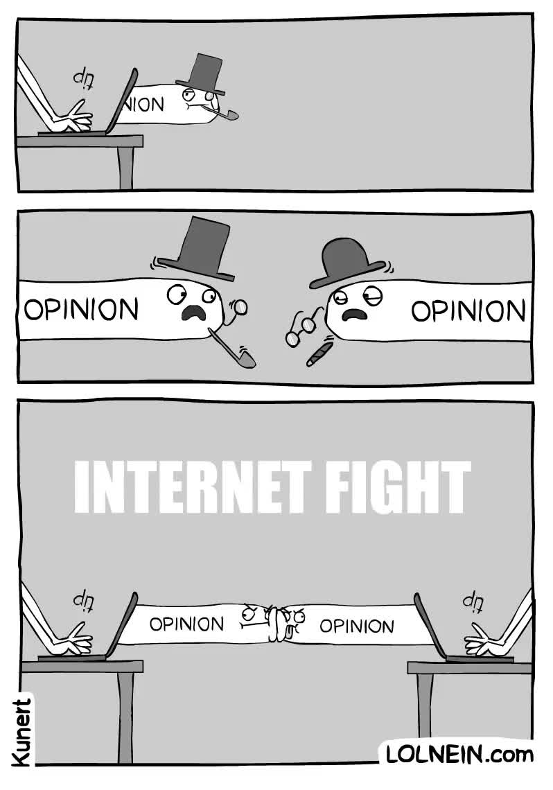 peleas internet,internet fight,comentarios,opiniones,polemica