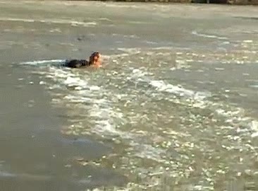 lago,helado,hielo,romperse,meterse,valiente,salvar,rescatar,perro