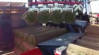 campos de futbol,cesped,cortar,tecnicamente es una cosechadora,natural