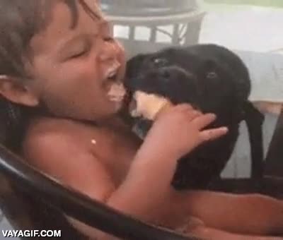 helado,ni&ntilde;o,perro,que ansias,hab&iacute;a hambre,robar