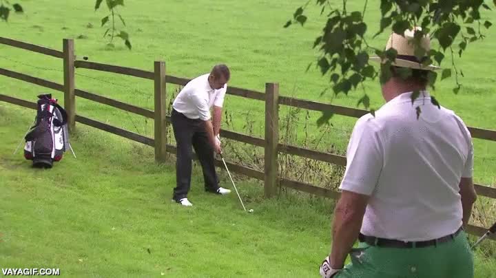 golpe,golf,swing,contra el palo,valla,rebotar,golfista