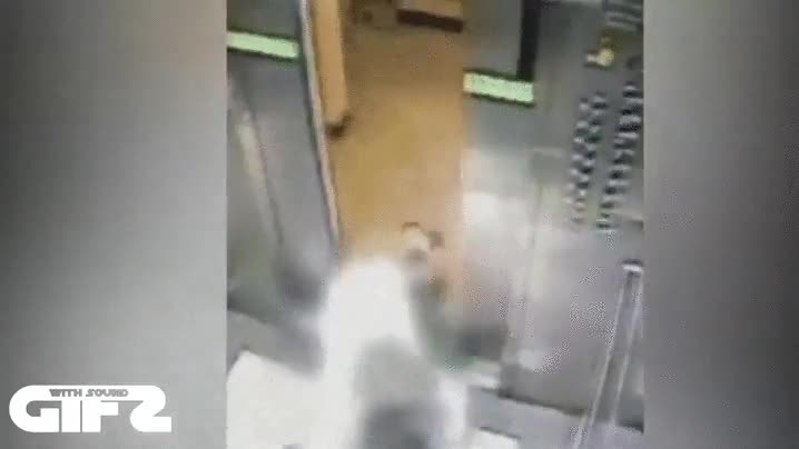 por poco no lo parte en dos,ascensor,mirar el movil,empanado,tropezar,fail