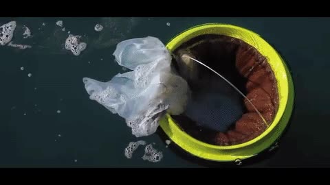 Os presentamos el 'Seabin', un sistema para limpiar los mares de manera automática limpiar,limpieza,seabin,cubo de basura marítimo,buen invento