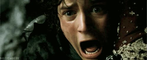 Frodo,ESDLA,Un gran Noooooo,nochevieja,año nuevo,casa,dios mio que ha pasado