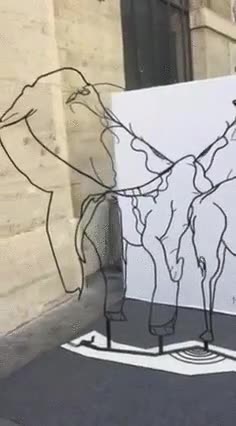 jirafa,elefante,punto de vista,perspectiva