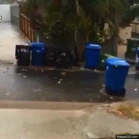 tormenta,todos los containers,contenedores,en linea,seguidos,viento