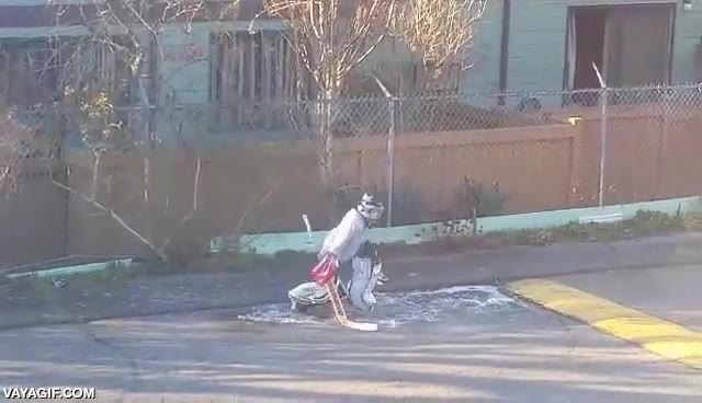 entrenar,charco helado,entrenamiento,portero,hockey sobre hielo
