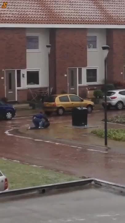 viento,empujar,arrastrar,tirar la basura,cubo,container