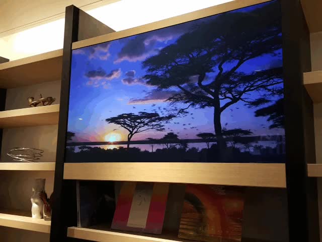 tele,television,transparente,cristal translucido,el futuro,la tele no ocupar&aacute; m&aacute;s hueco