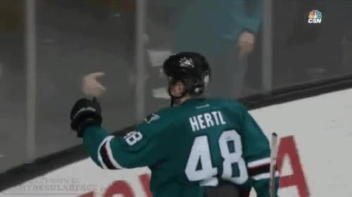 chocar,gesto,detalle,pu&ntilde;o,a traves del cristal,feliz para todo el dia,hockey sobre hielo,hertl