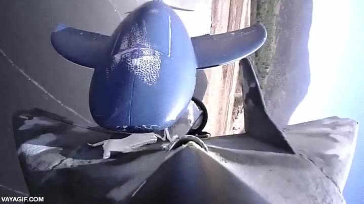 avion,dron,a reaccion,radiocontrol,perseguir,tiburon,morder,huir