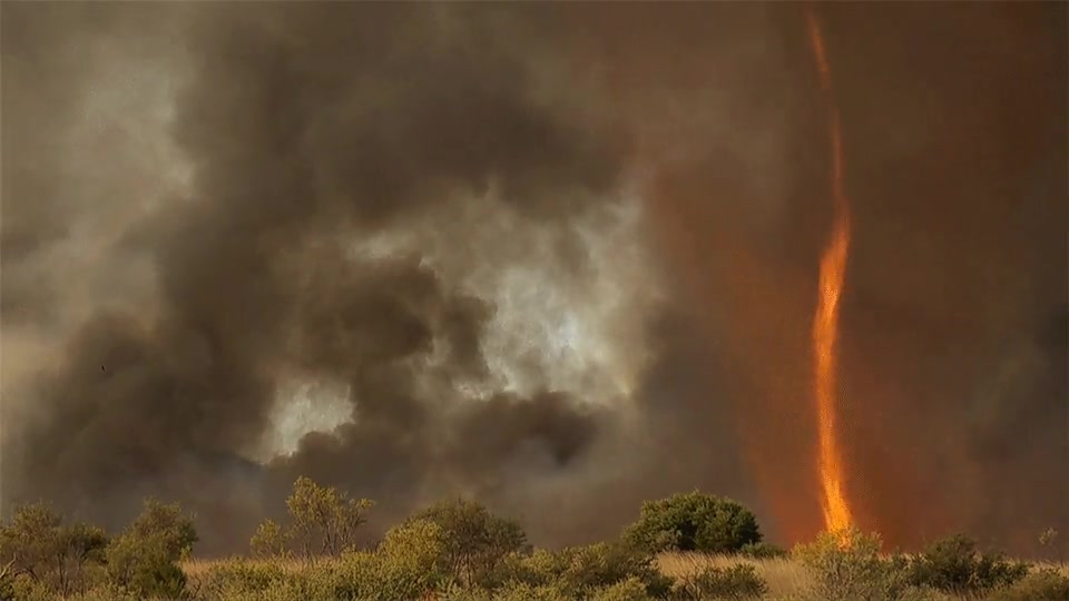 tornado,fuego,existen,bosque,quemado