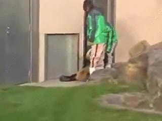 gandhi,resistencia pacifica,oso panda,m&aacute;s vago que paquirrin,oso