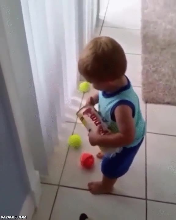 ni&ntilde;o,admitir,pr&oacute;ximo,premio nobel